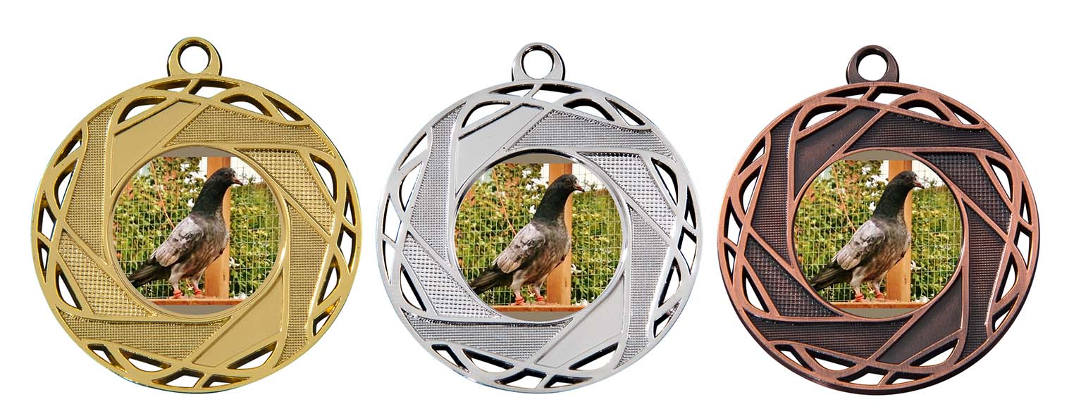 M132 Medaille goud-zilver-brons Ø 50 mm compleet 2 opties!!